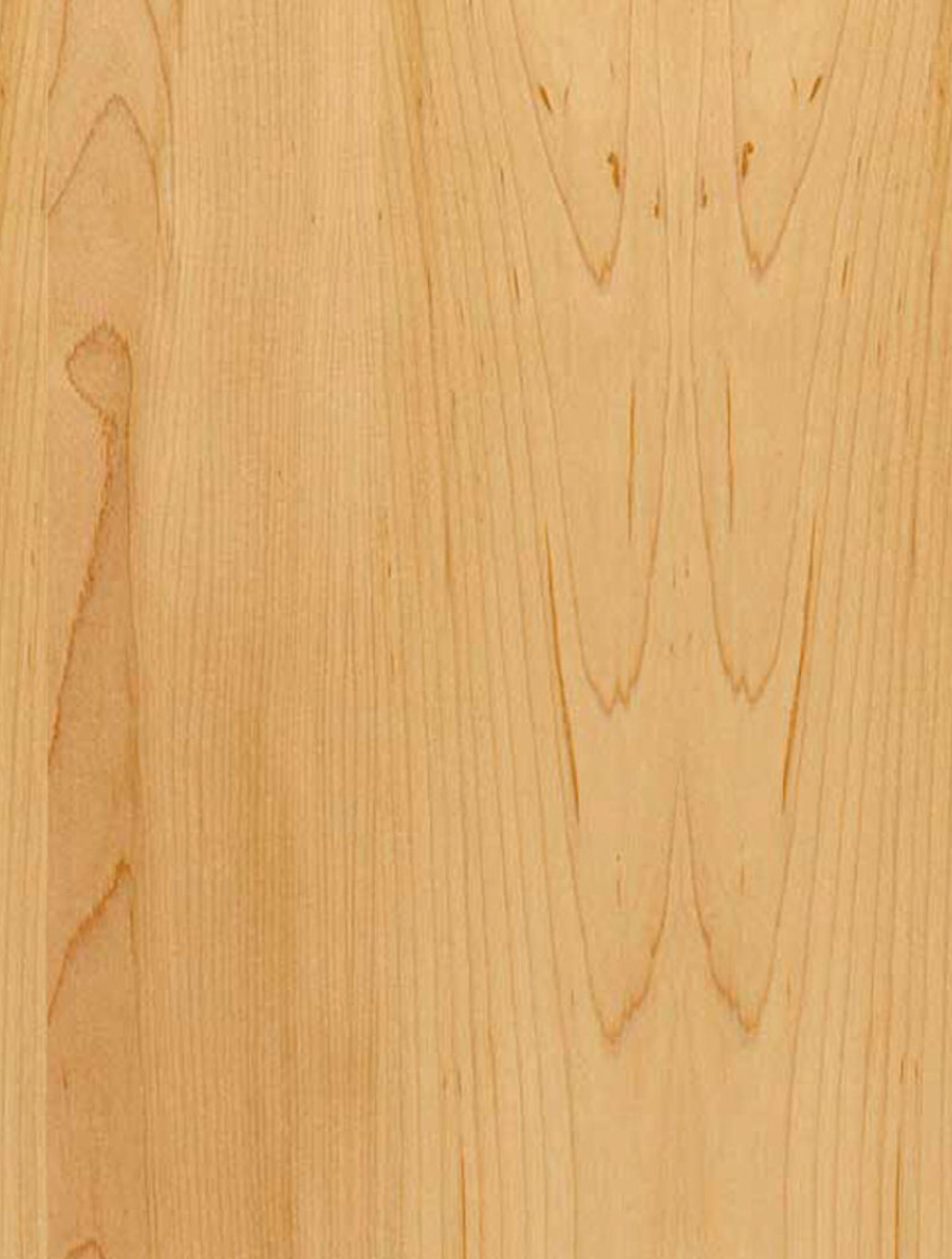 Hard Maple