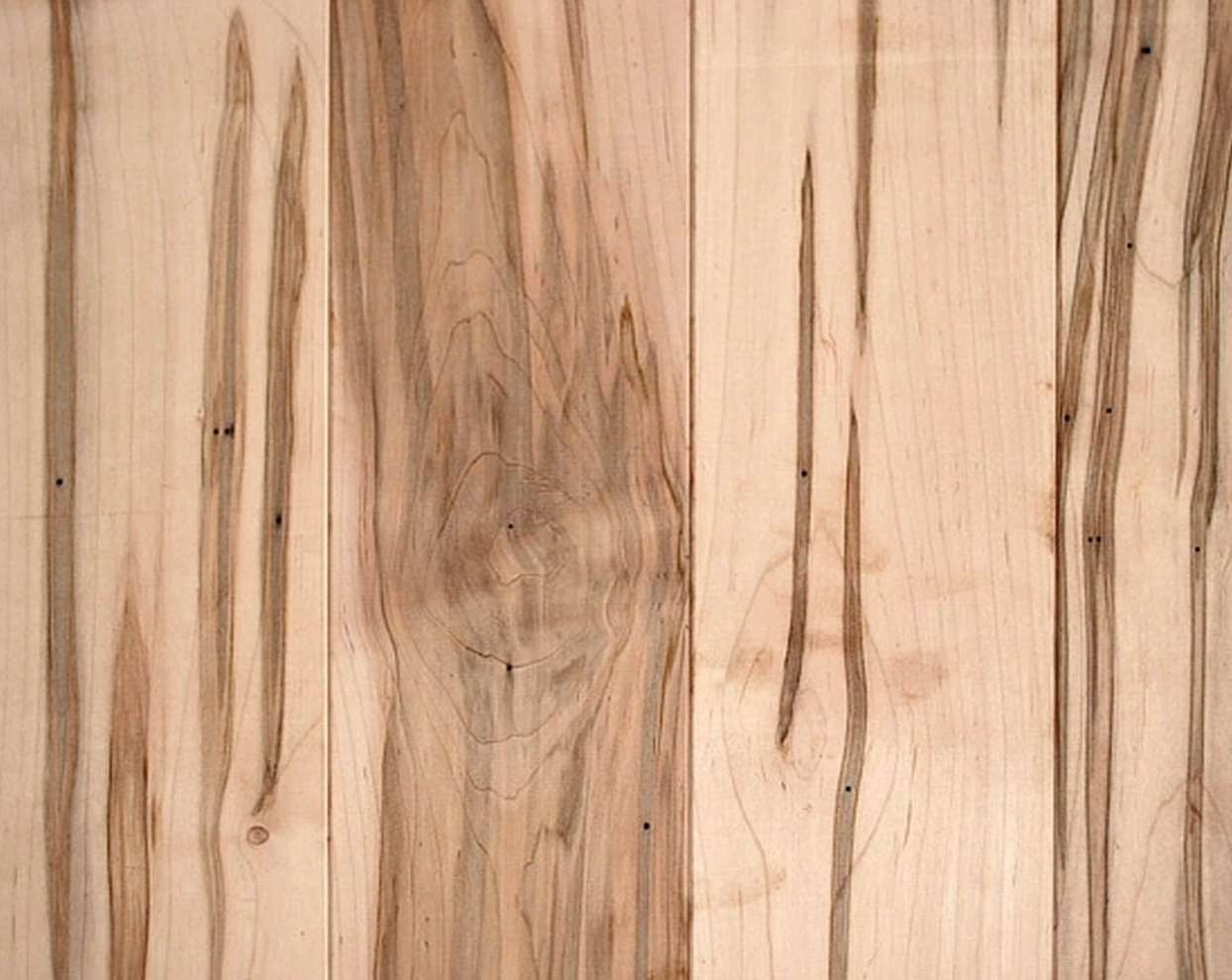 Ambrosia Maple