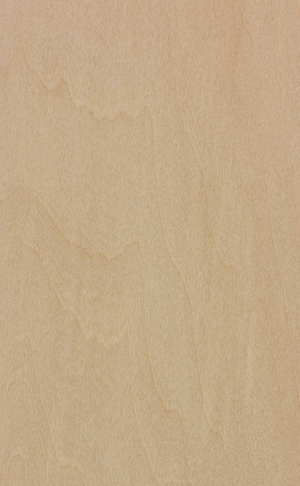 Basswood